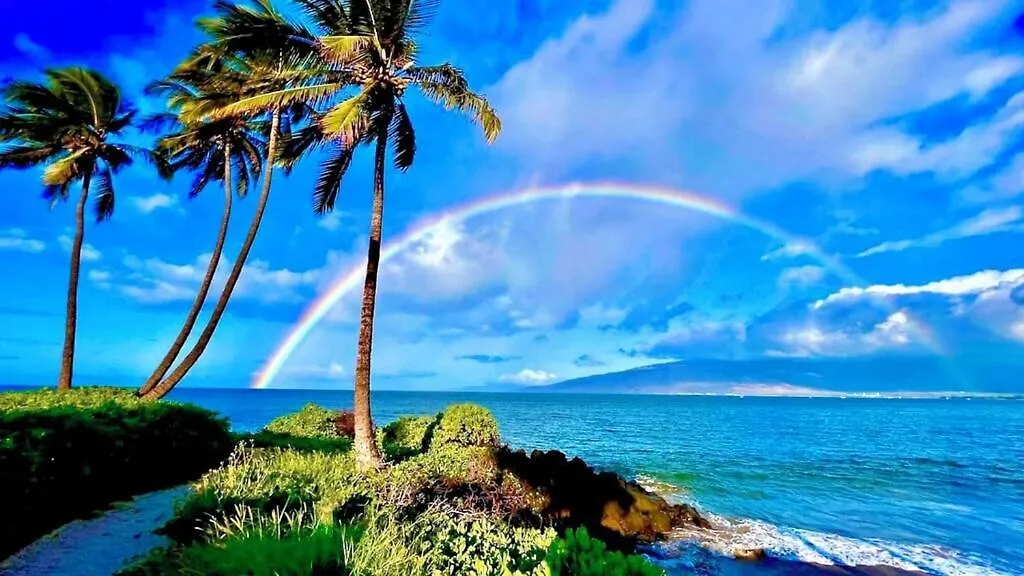 Appartement A Beautiful Day In Kihei - Summer Specials