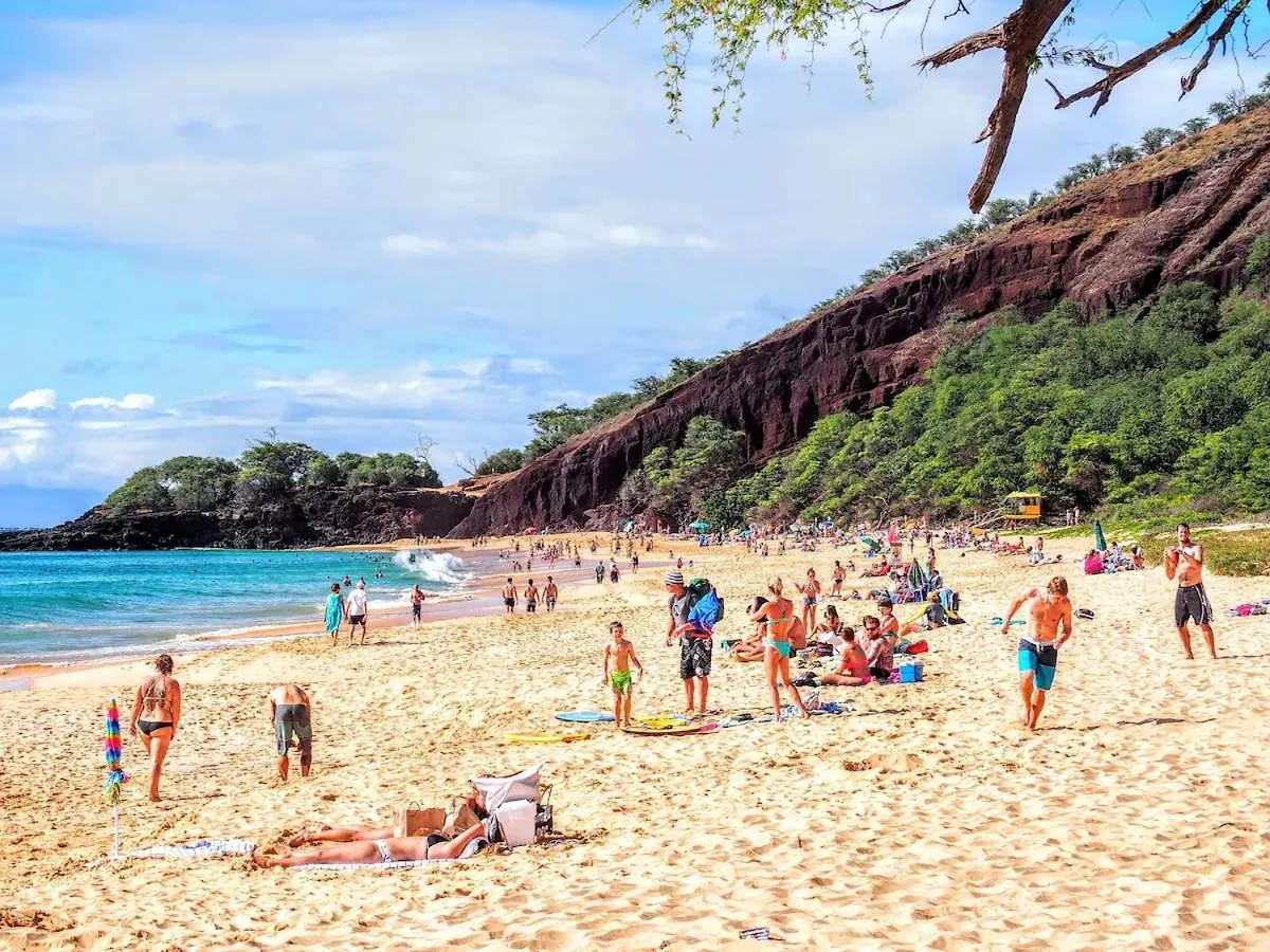 A Beautiful Day In Kihei - Summer Specials